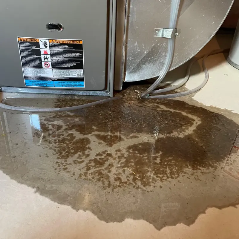 Appliance Leak Cleanup in Bullock County, AL